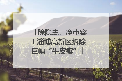 除隐患、净市容！淄博高新区拆除巨幅“牛皮癣”