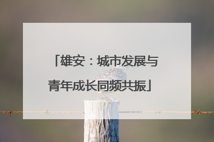 雄安：城市发展与青年成长同频共振