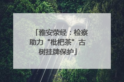 雅安荥经：检察助力“枇杷茶”古树挂牌保护