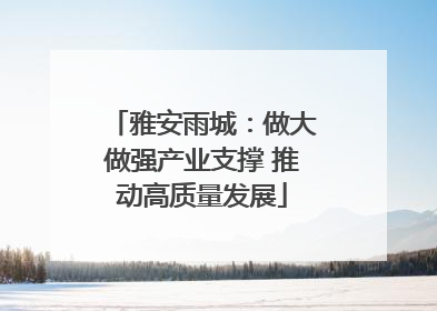 雅安雨城：做大做强产业支撑 推动高质量发展