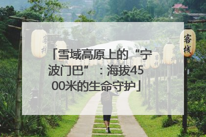 雪域高原上的“宁波门巴”：海拔4500米的生命守护