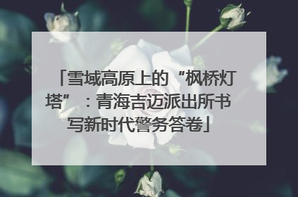 雪域高原上的“枫桥灯塔”：青海吉迈派出所书写新时代警务答卷