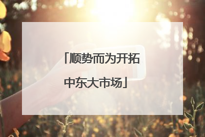 顺势而为开拓中东大市场