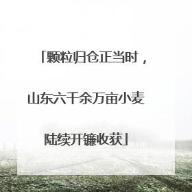 颗粒归仓正当时，山东六千余万亩小麦陆续开镰收获
