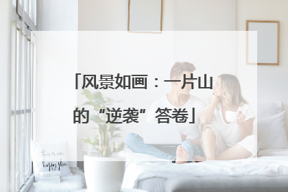 风景如画：一片山的“逆袭”答卷