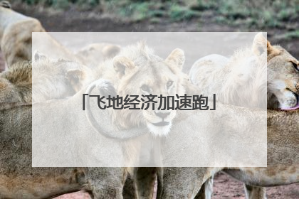 飞地经济加速跑