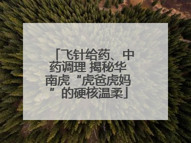 飞针给药、中药调理 揭秘华南虎“虎爸虎妈”的硬核温柔