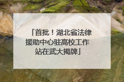 首批！湖北省法律援助中心驻高校工作站在武大揭牌
