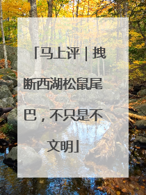 马上评｜拽断西湖松鼠尾巴，不只是不文明