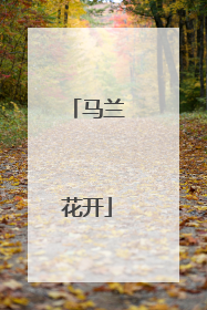 马兰花开