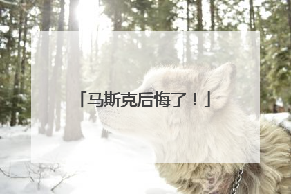 马斯克后悔了！