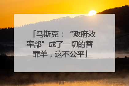 马斯克：“政府效率部”成了一切的替罪羊，这不公平