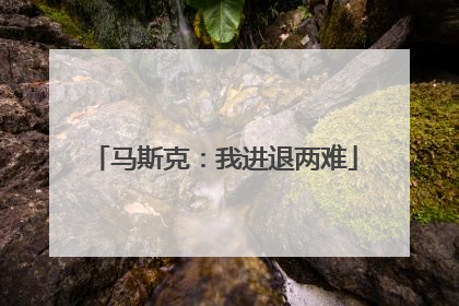 马斯克：我进退两难