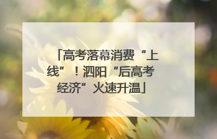 高考落幕消费“上线”！泗阳“后高考经济”火速升温