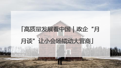 高质量发展看中国｜政企“月月谈”让小会场撬动大营商