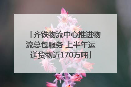 齐铁物流中心推进物流总包服务 上半年运送货物近170万吨