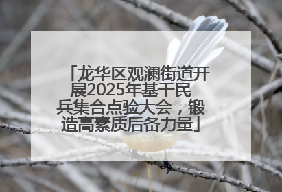 龙华区观澜街道开展2025年基干民兵集合点验大会，锻造高素质后备力量