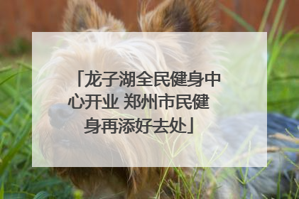 龙子湖全民健身中心开业 郑州市民健身再添好去处