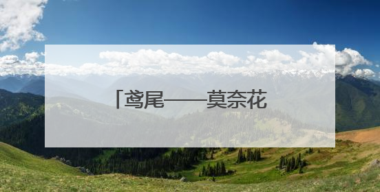 鸢尾——莫奈花园中的彩虹女神