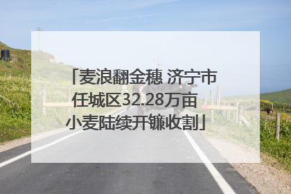 麦浪翻金穗 济宁市任城区32.28万亩小麦陆续开镰收割