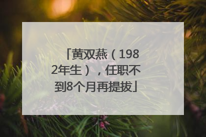 黄双燕（1982年生），任职不到8个月再提拔
