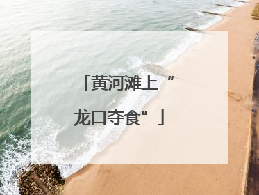 黄河滩上“龙口夺食”