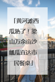 黄河滩西瓜熟了！梁山万余亩沙瓤瓜直达市民餐桌