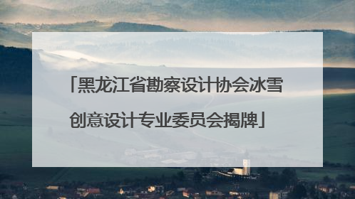 黑龙江省勘察设计协会冰雪创意设计专业委员会揭牌