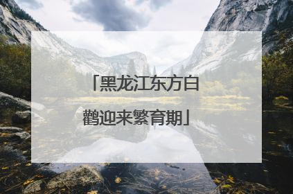 黑龙江东方白鹳迎来繁育期