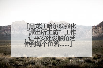 黑龙江哈尔滨强化“派出所主防”工作，让平安建设触角延伸到每个角落……