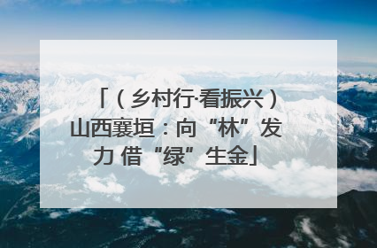 （乡村行·看振兴）山西襄垣：向“林”发力 借“绿”生金
