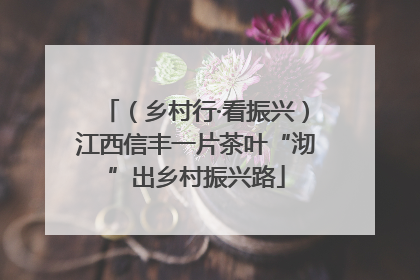（乡村行·看振兴）江西信丰一片茶叶“沏”出乡村振兴路