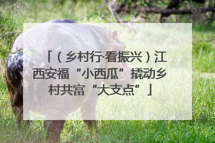 （乡村行·看振兴）江西安福“小西瓜”撬动乡村共富“大支点”