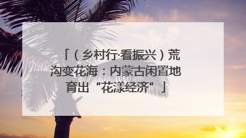 （乡村行·看振兴）荒沟变花海：内蒙古闲置地育出“花漾经济”