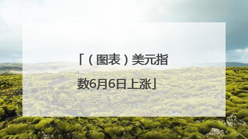 （图表）美元指数6月6日上涨