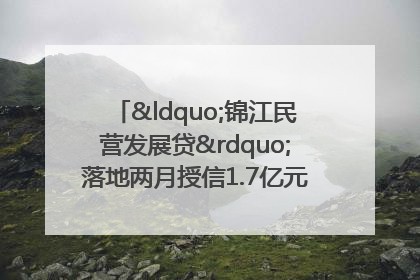 “锦江民营发展贷”落地两月授信1.7亿元，惠及118家民企