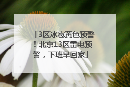 3区冰雹黄色预警！北京13区雷电预警，下班早回家