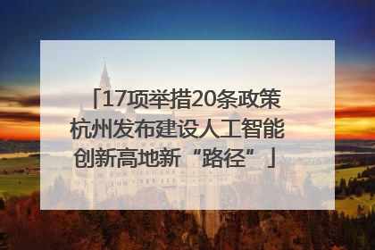 17项举措20条政策 杭州发布建设人工智能创新高地新“路径”