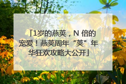 1岁的燕荚，N 倍的宠爱！燕荚周年“荚”年华狂欢攻略大公开