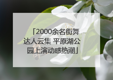 2000余名街舞达人云集 平原湖公园上演动感热潮