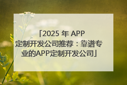 2025 年 APP 定制开发公司推荐：靠谱专业的APP定制开发公司