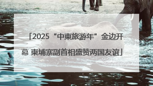 2025“中柬旅游年”金边开幕 柬埔寨副首相盛赞两国友谊