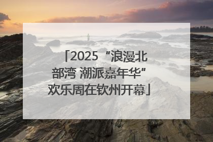2025“浪漫北部湾 潮派嘉年华”欢乐周在钦州开幕