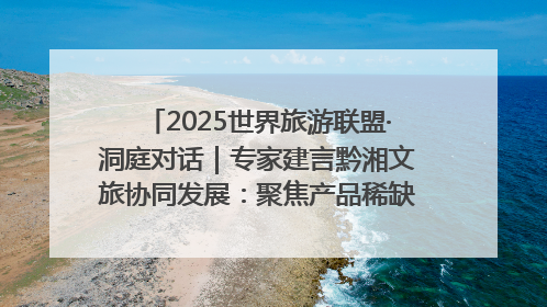 2025世界旅游联盟·洞庭对话｜专家建言黔湘文旅协同发展：聚焦产品稀缺性 深化区域经验共享
