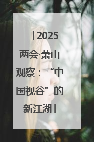 2025两会·萧山观察：“中国视谷”的新江湖