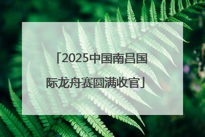 2025中国南昌国际龙舟赛圆满收官
