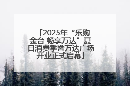 2025年“乐购金台 畅享万达”夏日消费季暨万达广场开业正式启幕