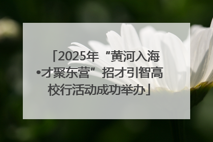 2025年“黄河入海•才聚东营”招才引智高校行活动成功举办