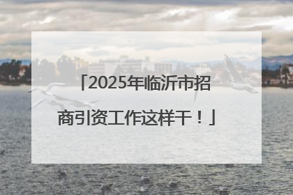 2025年临沂市招商引资工作这样干！