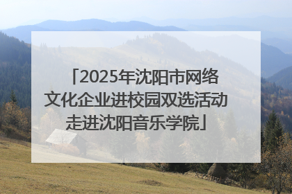 2025年沈阳市网络文化企业进校园双选活动走进沈阳音乐学院